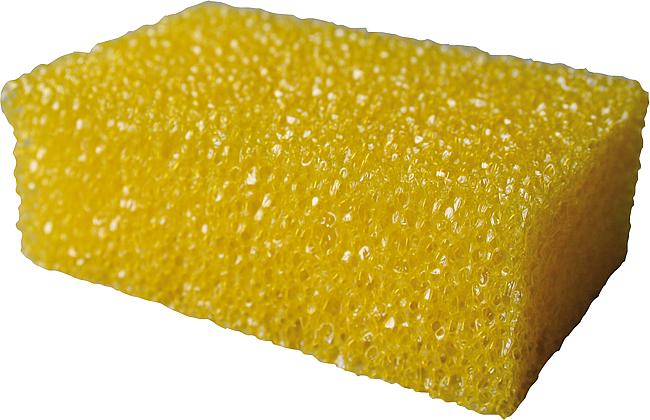Insektenschwamm