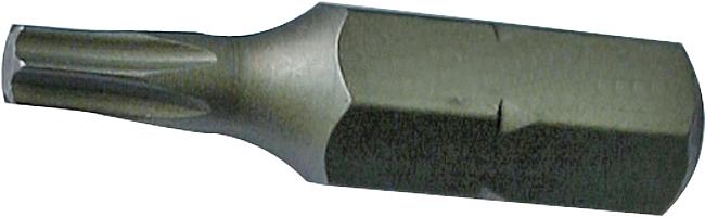TX-Schraubendreher-Einsatz, TX 15, 1/4&quot;&quot;, 10 Stck.