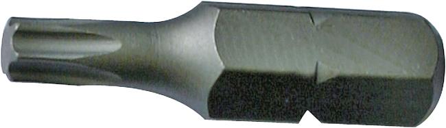 TX-Schraubendreher-Einsatz, TX 20, 1/4&quot;&quot;, 10 Stck.