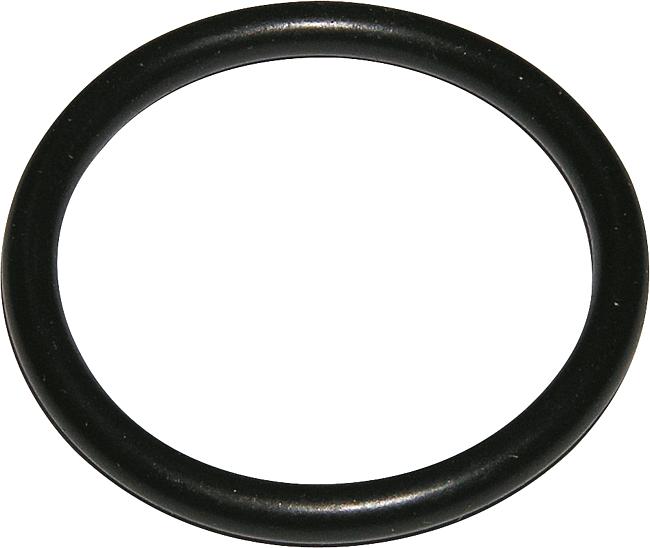 O-Ring, Techno 2002, gro&#223;