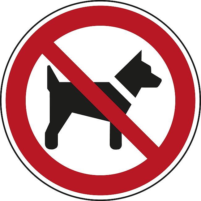Mitf&#252;hren von Hunden verboten, KU, 200 mm