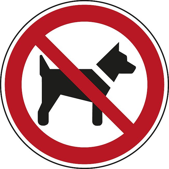 Mitf&#252;hren von Hunden verboten, FO, 200 mm